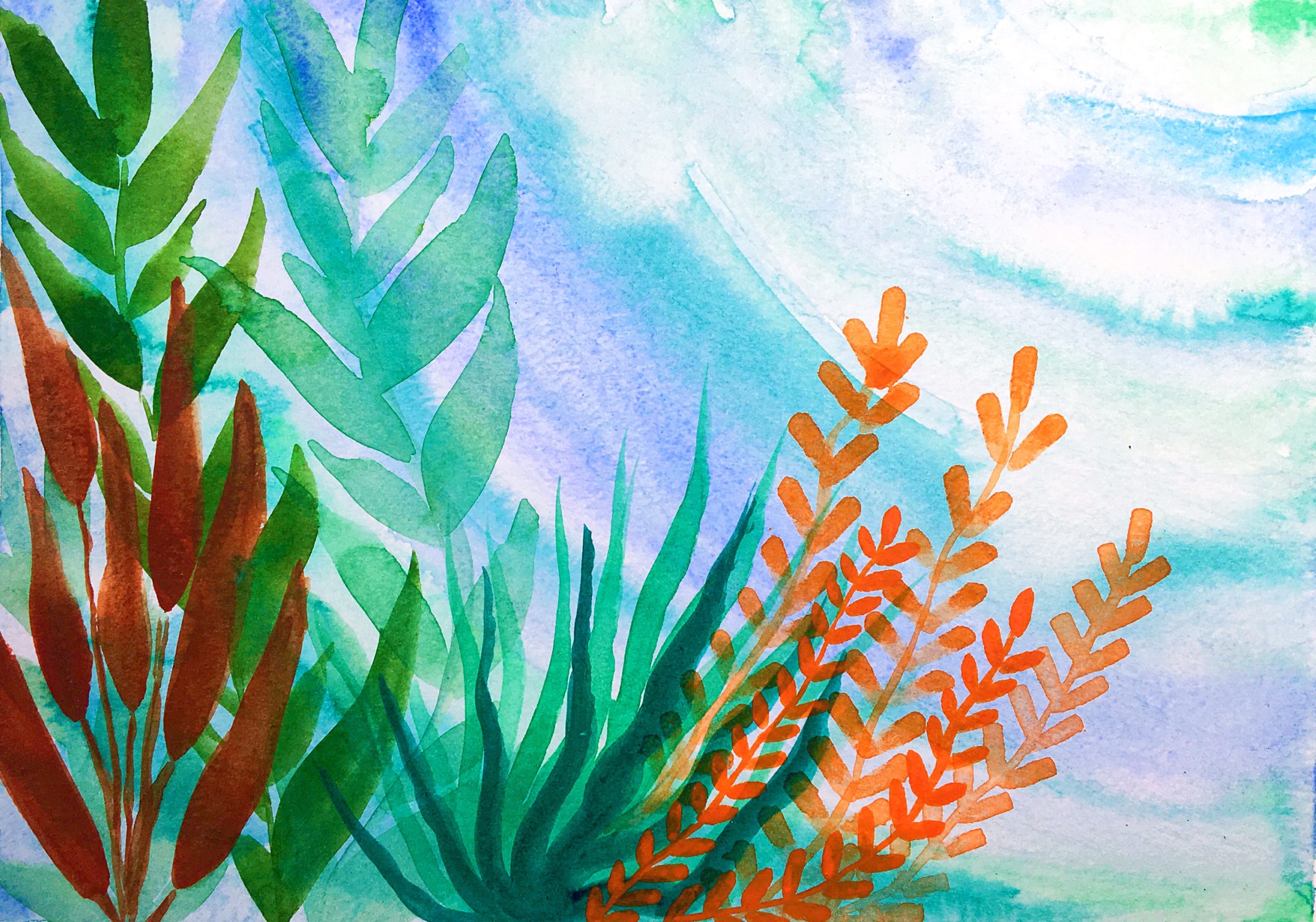 Snorkeling 002