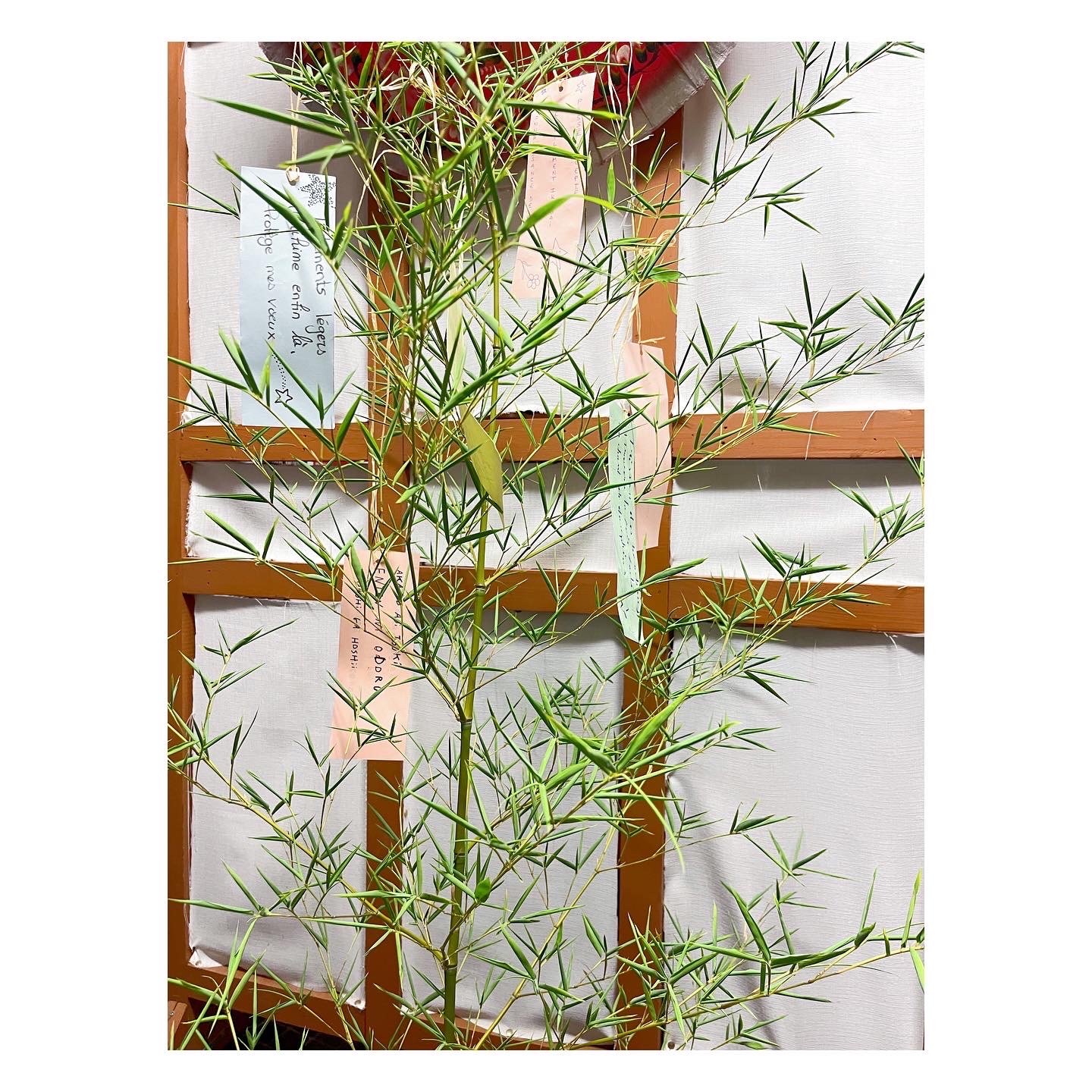 3190C271-BCAC-4FEC-8F6C-1B555F31D808