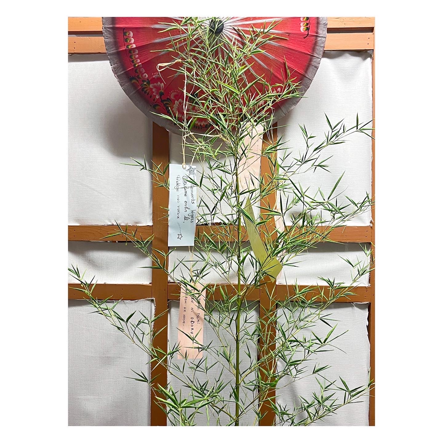 5DE10C49-3338-4059-8CD9-7674F6E5DF8A