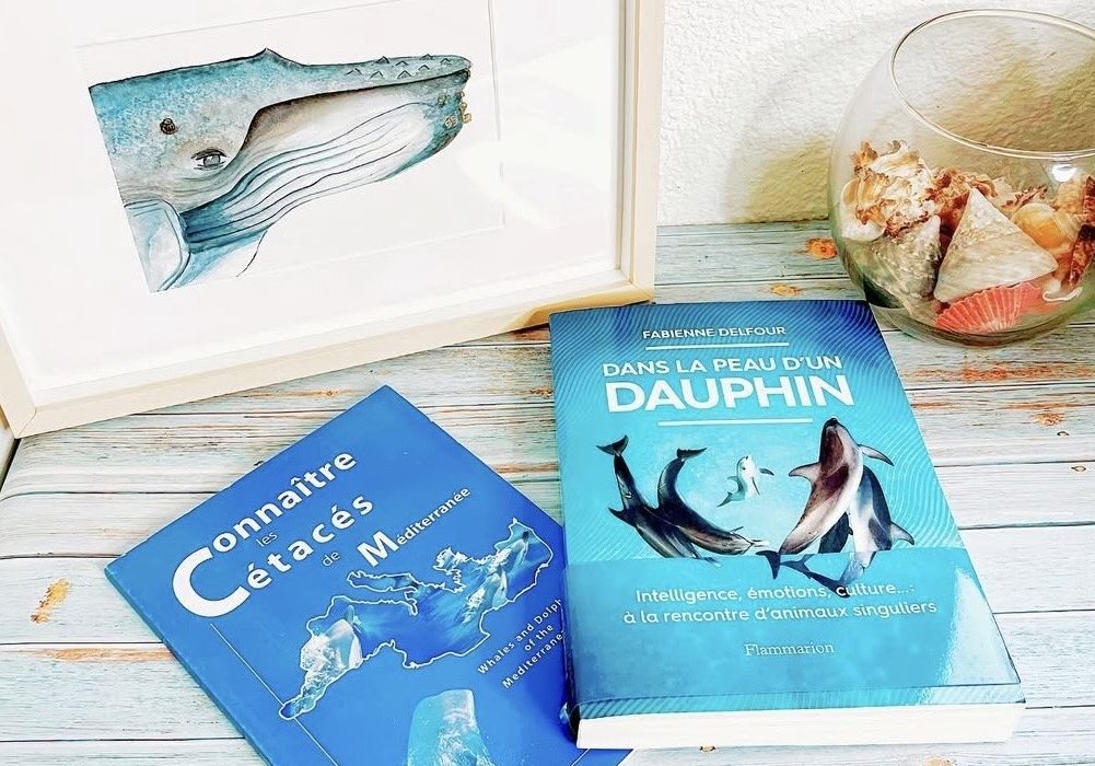 couverture du livre "Dans la peau d'un dauphin" de Fabienne Delfour, paru aux éditions Flammarion